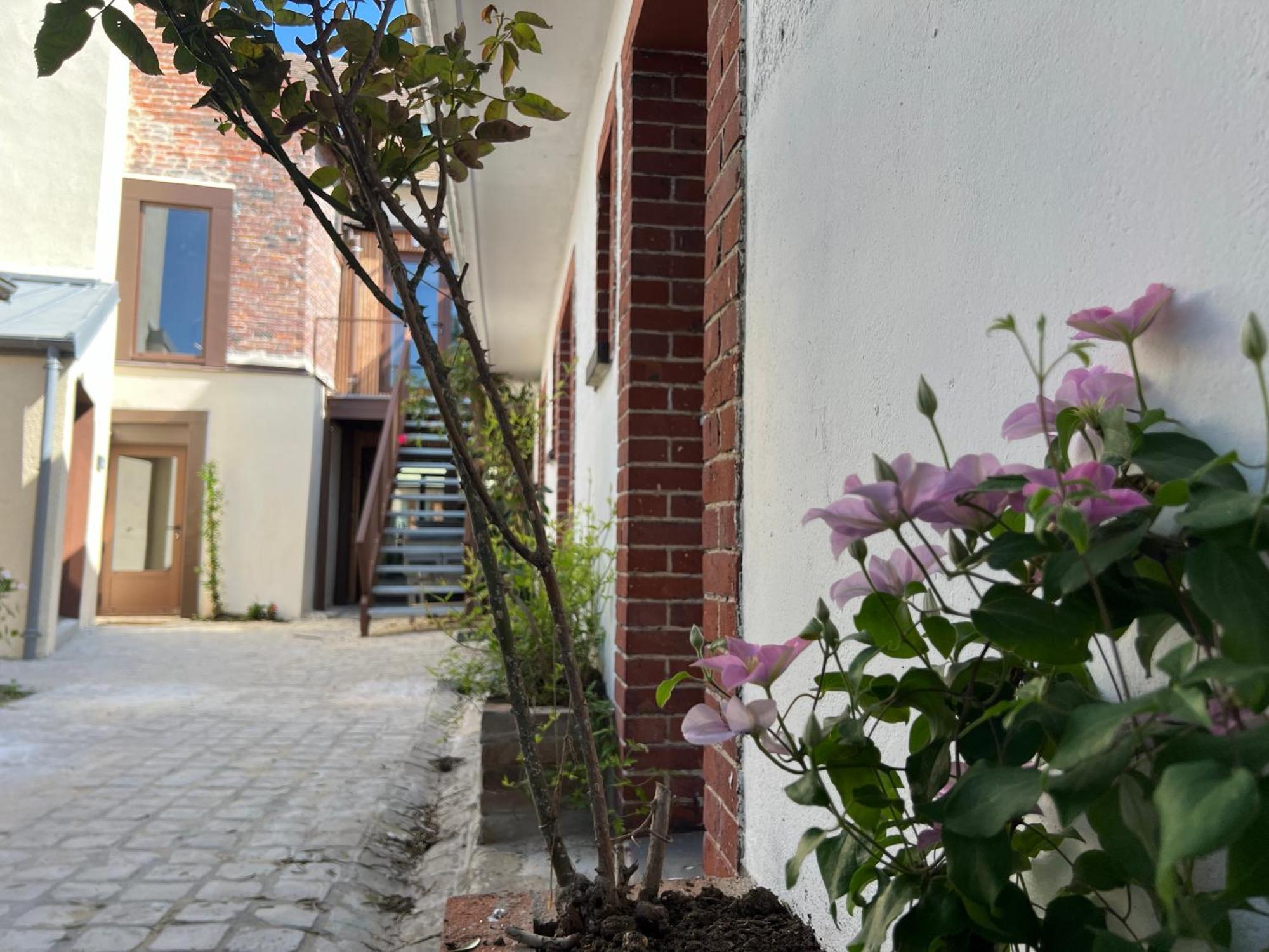 Le Chene Fleuri Bed and Breakfast Chartres Buitenkant foto